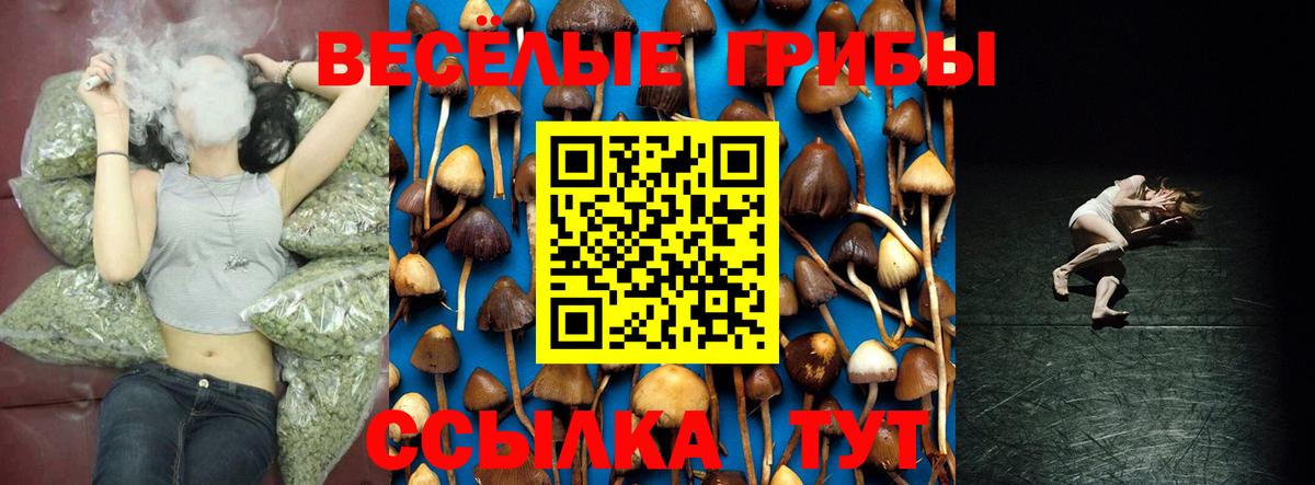 Псилоцибиновые грибы Psilocybe  Вход с VPN  Магадан 
